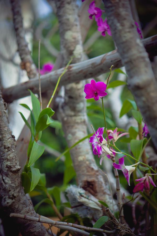 Meesuk Boutique House Hotel Chiang Mai Luaran gambar
