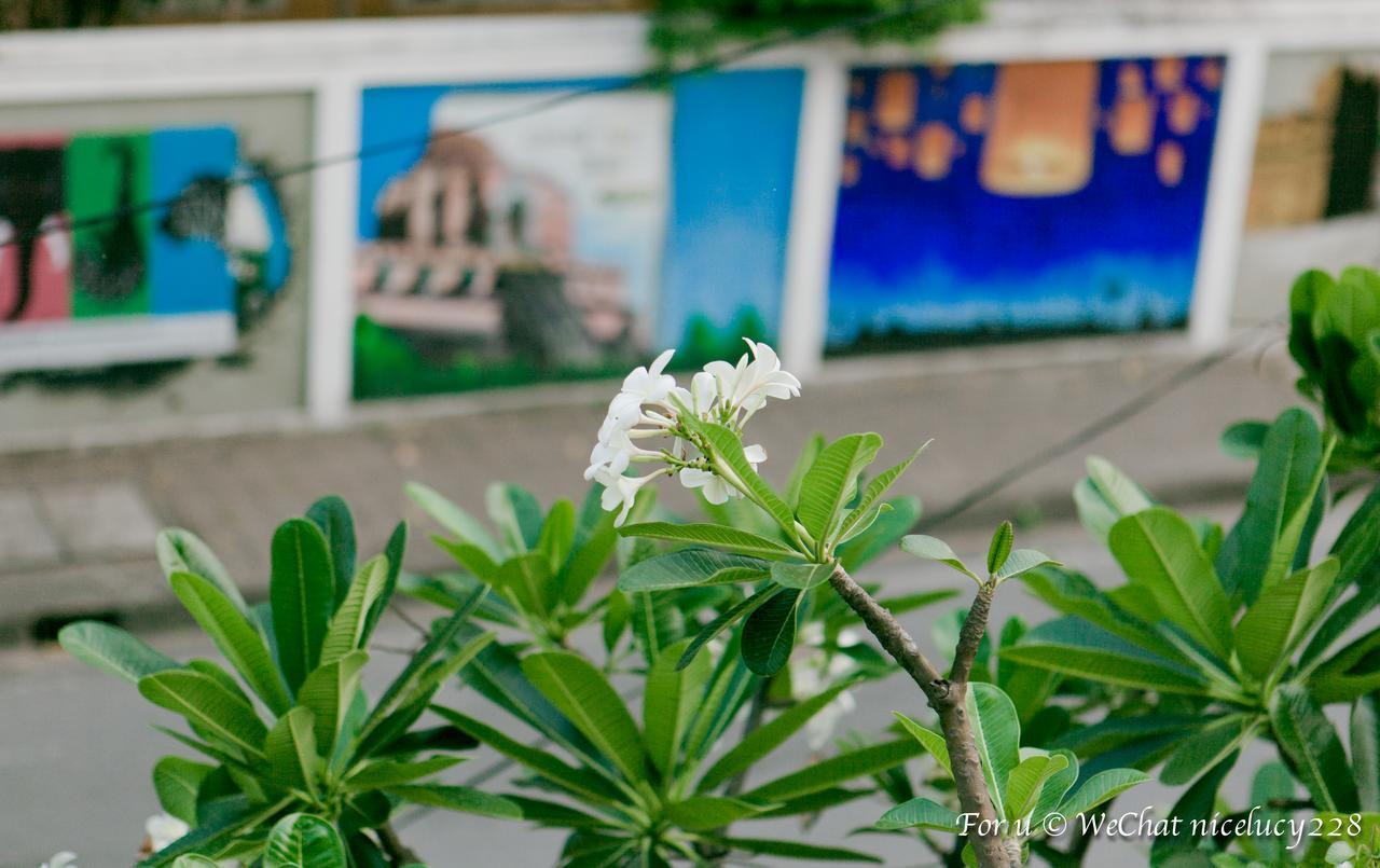 Meesuk Boutique House Hotel Chiang Mai Luaran gambar